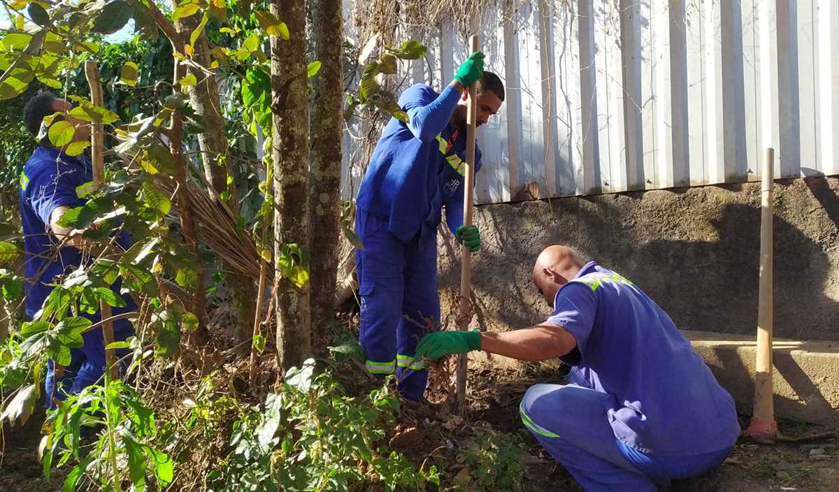 Dmaes Departamento Municipal De Gua Esgoto E Saneamento Rede